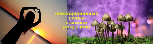 эйфоретик Белокуриха