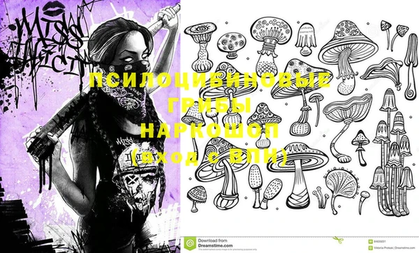 эйфоретик Белокуриха
