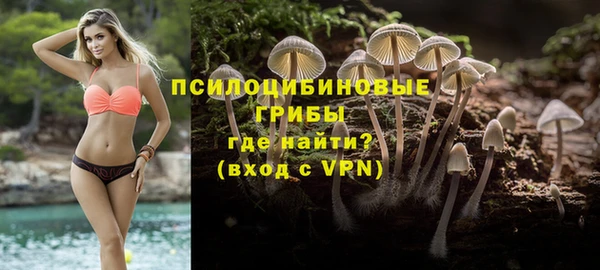 эйфоретик Белокуриха